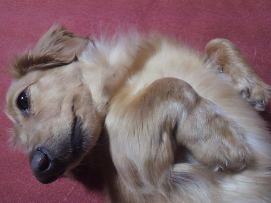 鉄　は　熱　い　う　ち　に　打　て　　　　(*ﾟ∀ﾟ)=3ﾑｯﾊｰ