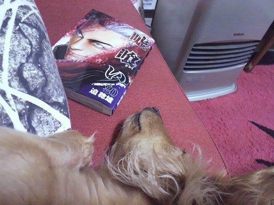 鉄　は　熱　い　う　ち　に　打　て　　　　(*ﾟ∀ﾟ)=3ﾑｯﾊｰ