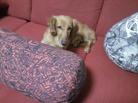 鉄　は　熱　い　う　ち　に　打　て　　　　(*ﾟ∀ﾟ)=3ﾑｯﾊｰ