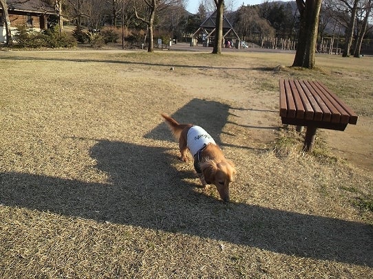 鉄　は　熱　い　う　ち　に　打　て　　　　(*ﾟ∀ﾟ)=3ﾑｯﾊｰ