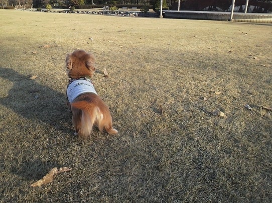 鉄　は　熱　い　う　ち　に　打　て　　　　(*ﾟ∀ﾟ)=3ﾑｯﾊｰ