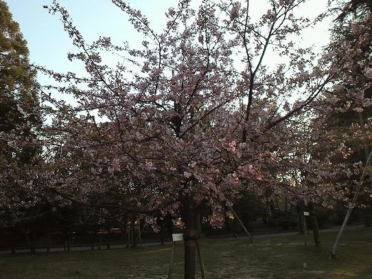 鉄　は　熱　い　う　ち　に　打　て　　　　(*ﾟ∀ﾟ)=3ﾑｯﾊｰ