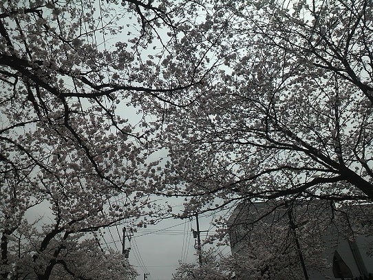 鉄　は　熱　い　う　ち　に　打　て　　　　(*ﾟ∀ﾟ)=3ﾑｯﾊｰ