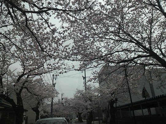 鉄　は　熱　い　う　ち　に　打　て　　　　(*ﾟ∀ﾟ)=3ﾑｯﾊｰ