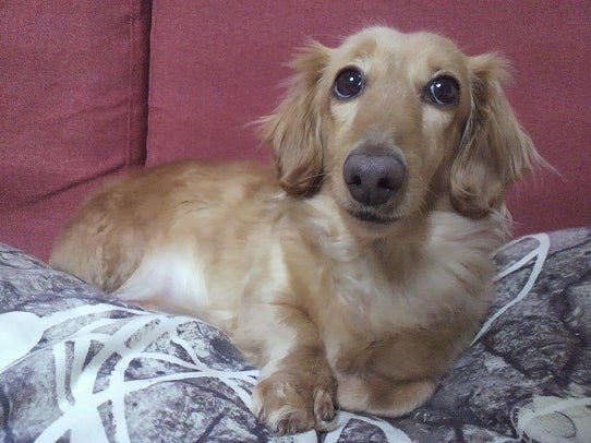 鉄　は　熱　い　う　ち　に　打　て　　　　(*ﾟ∀ﾟ)=3ﾑｯﾊｰ