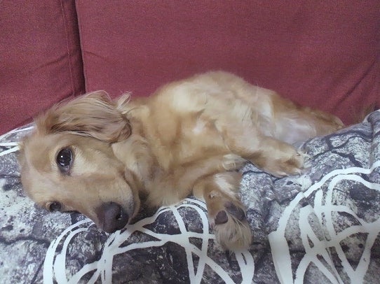 鉄　は　熱　い　う　ち　に　打　て　　　　(*ﾟ∀ﾟ)=3ﾑｯﾊｰ