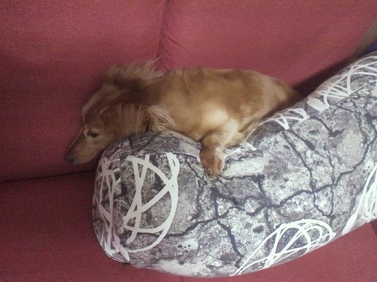 鉄　は　熱　い　う　ち　に　打　て　　　　(*ﾟ∀ﾟ)=3ﾑｯﾊｰ