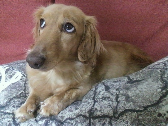 鉄　は　熱　い　う　ち　に　打　て　　　　(*ﾟ∀ﾟ)=3ﾑｯﾊｰ