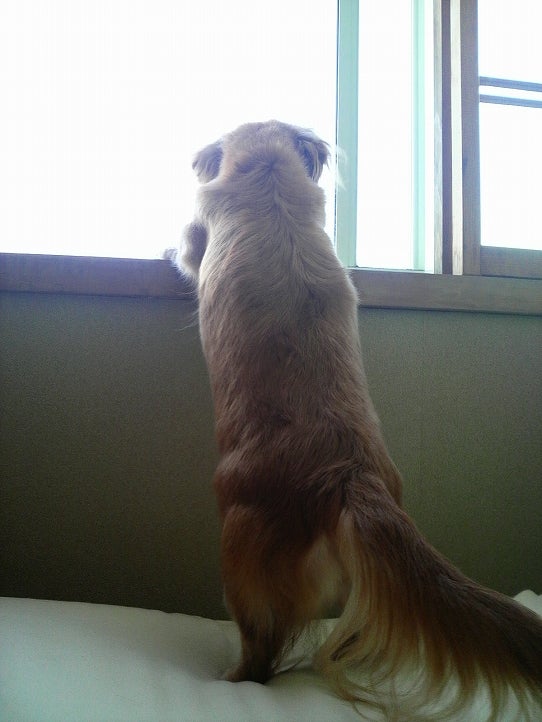 鉄　は　熱　い　う　ち　に　打　て　　　　　　(*ﾟ∀ﾟ)=3ﾑｯﾊｰ