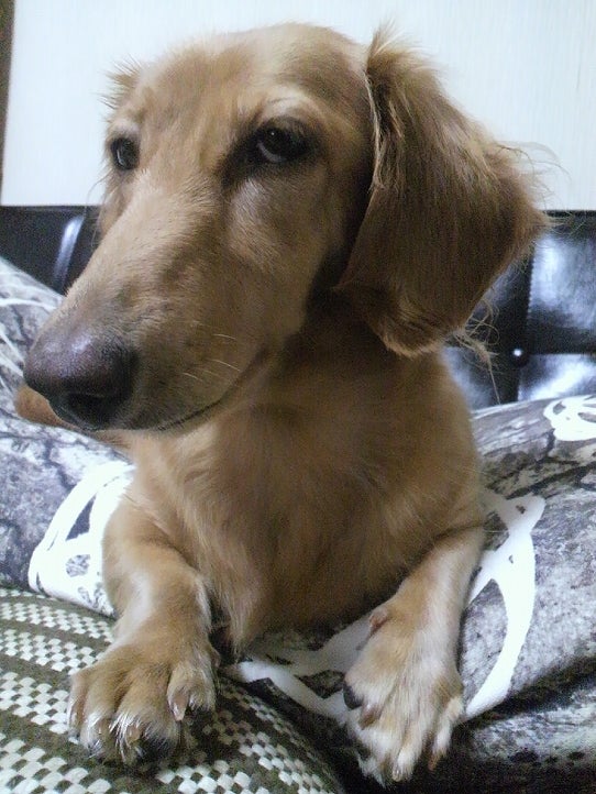 鉄　は　熱　い　う　ち　に　打　て　　　　(*ﾟ∀ﾟ)=3ﾑｯﾊｰ