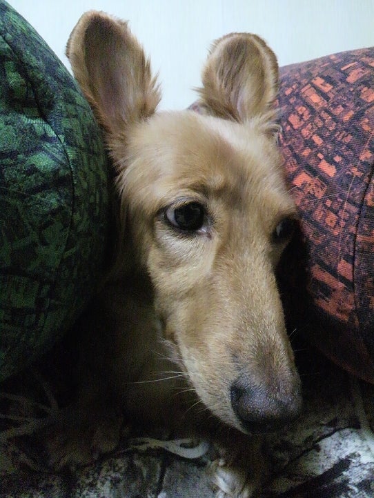 鉄　は　熱　い　う　ち　に　打　て　　　　(*ﾟ∀ﾟ)=3ﾑｯﾊｰ