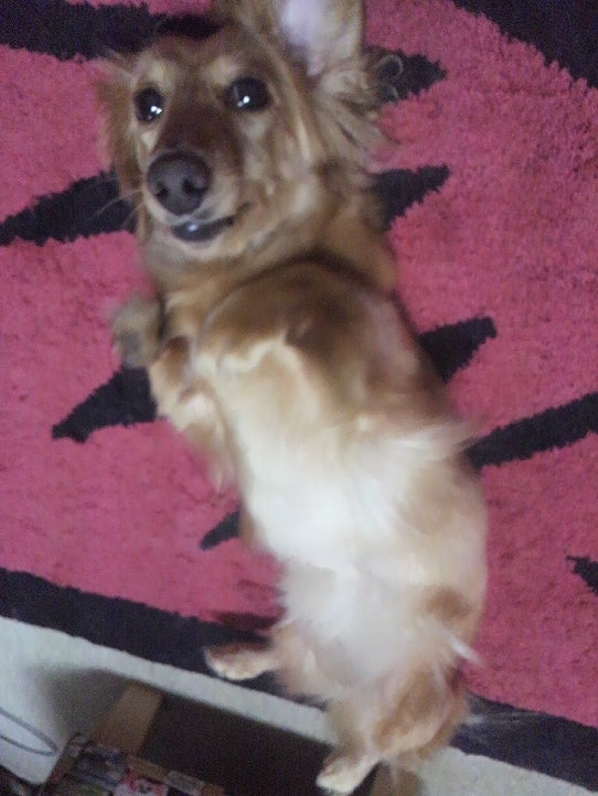 鉄　は　熱　い　う　ち　に　打　て　　　　(*ﾟ∀ﾟ)=3ﾑｯﾊｰ