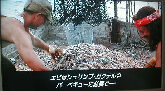 鉄　は　熱　い　う　ち　に　打　て　　　　(*ﾟ∀ﾟ)=3ﾑｯﾊｰ