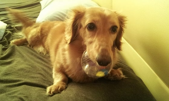 鉄　は　熱　い　う　ち　に　打　て　　　　(*ﾟ∀ﾟ)=3ﾑｯﾊｰ