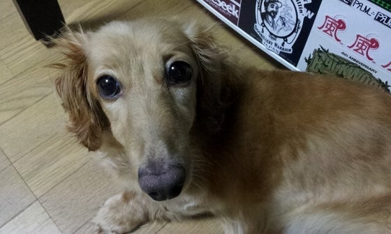 鉄　は　熱　い　う　ち　に　打　て　　　　(*ﾟ∀ﾟ)=3ﾑｯﾊｰ