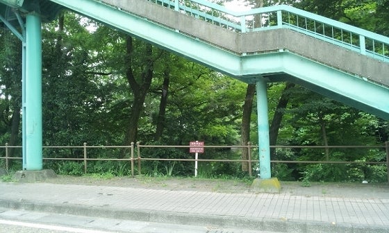 鉄　は　熱　い　う　ち　に　打　て　　　　(*ﾟ∀ﾟ)=3ﾑｯﾊｰ