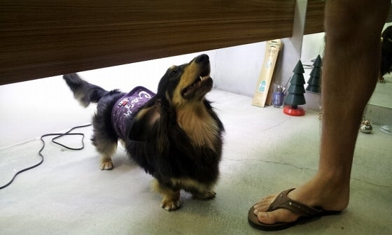 鉄　は　熱　い　う　ち　に　打　て　　　　(*ﾟ∀ﾟ)=3ﾑｯﾊｰ