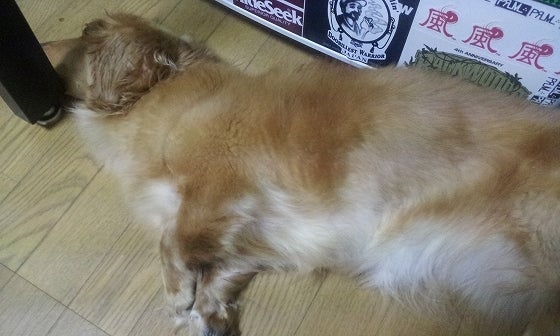 鉄　は　熱　い　う　ち　に　打　て　　　　(*ﾟ∀ﾟ)=3ﾑｯﾊｰ