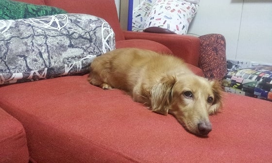 鉄　は　熱　い　う　ち　に　打　て　　　　(*ﾟ∀ﾟ)=3ﾑｯﾊｰ