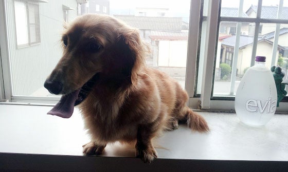 鉄 は 熱 い う ち に 打 て (*゚∀゚)=3ムッハー