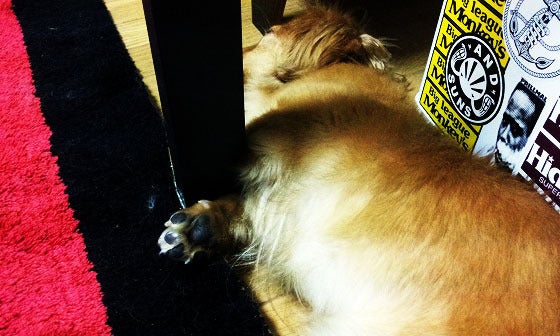 鉄 は 熱 い う ち に 打 て (*゚∀゚)=3ムッハー