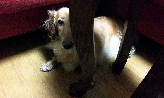 鉄 は 熱 い う ち に 打 て (*゚∀゚)=3ムッハー