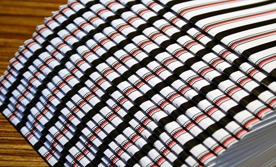 鉄　は　熱　い　う　ち　に　打　て　　　　(*ﾟ∀ﾟ)=3ﾑｯﾊｰ