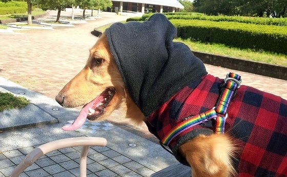 鉄　は　熱　い　う　ち　に　打　て　　　　(*ﾟ∀ﾟ)=3ﾑｯﾊｰ