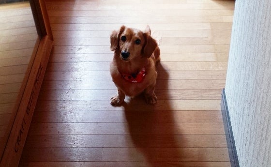 鉄　は　熱　い　う　ち　に　打　て　　　　(*ﾟ∀ﾟ)=3ﾑｯﾊｰ