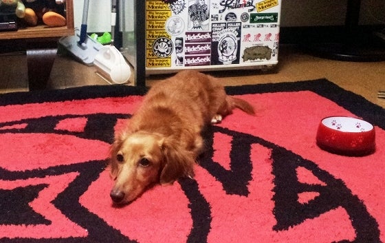 鉄　は　熱　い　う　ち　に　打　て　　　　(*ﾟ∀ﾟ)=3ﾑｯﾊｰ