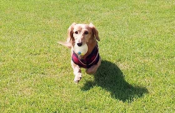 鉄　は　熱　い　う　ち　に　打　て　　　　(*ﾟ∀ﾟ)=3ﾑｯﾊｰ