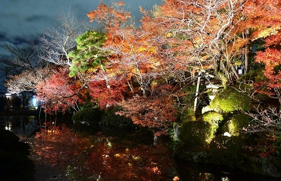 鉄 は 熱 い う ち に 打 て (*゚∀゚)=3ムッハー