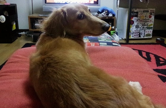 鉄　は　熱　い　う　ち　に　打　て　　　　(*ﾟ∀ﾟ)=3ﾑｯﾊｰ