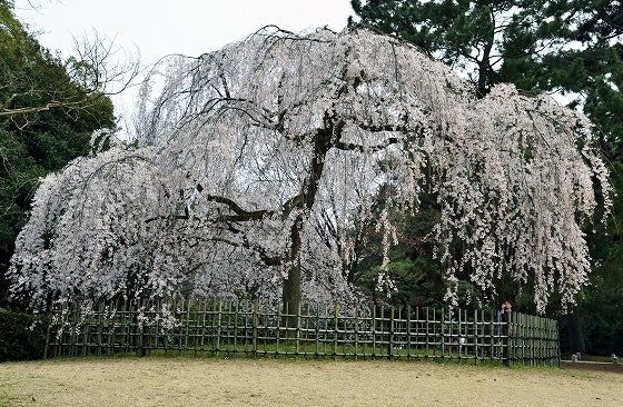 鉄　は　熱　い　う　ち　に　打　て　　　　(*ﾟ∀ﾟ)=3ﾑｯﾊｰ