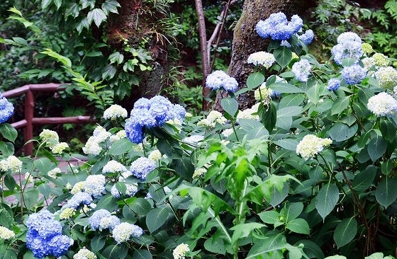 鉄　は　熱　い　う　ち　に　打　て　　　　(*ﾟ∀ﾟ)=3ﾑｯﾊｰ