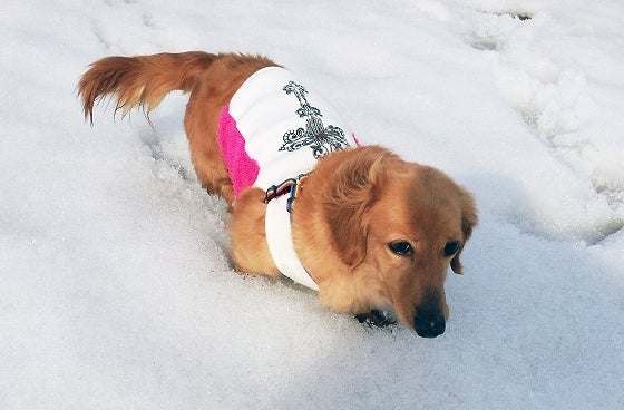 鉄　は　熱　い　う　ち　に　打　て　　　　(*ﾟ∀ﾟ)=3ﾑｯﾊｰ