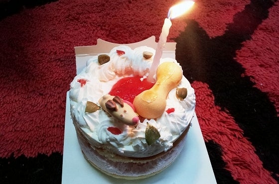 鉄　は　熱　い　う　ち　に　打　て　　　　(*ﾟ∀ﾟ)=3ﾑｯﾊｰ