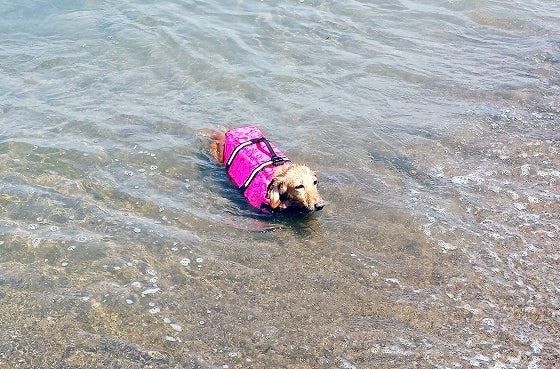 鉄　は　熱　い　う　ち　に　打　て　　　　(*ﾟ∀ﾟ)=3ﾑｯﾊｰ