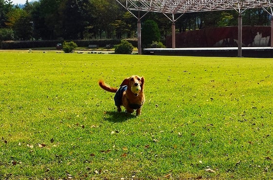 鉄　は　熱　い　う　ち　に　打　て　　　　(*ﾟ∀ﾟ)=3ﾑｯﾊｰ