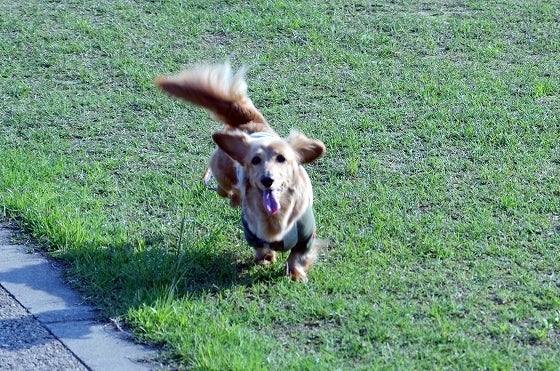 鉄　は　熱　い　う　ち　に　打　て　　　　(*ﾟ∀ﾟ)=3ﾑｯﾊｰ