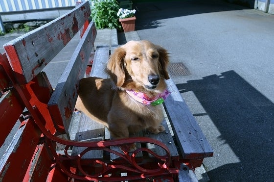 鉄　は　熱　い　う　ち　に　打　て　　　　(*ﾟ∀ﾟ)=3ﾑｯﾊｰ