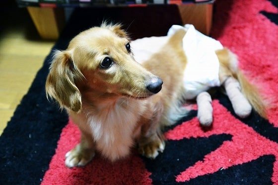 鉄　は　熱　い　う　ち　に　打　て　　　　(*ﾟ∀ﾟ)=3ﾑｯﾊｰ