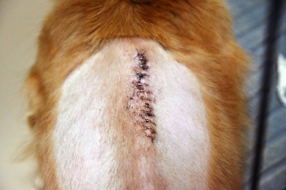 鉄　は　熱　い　う　ち　に　打　て　　　　(*ﾟ∀ﾟ)=3ﾑｯﾊｰ