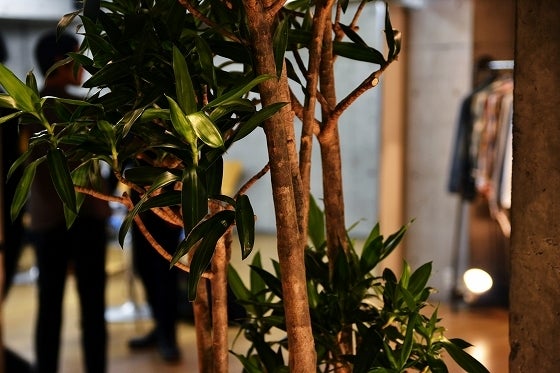 鉄　は　熱　い　う　ち　に　打　て　　　　(*ﾟ∀ﾟ)=3ﾑｯﾊｰ