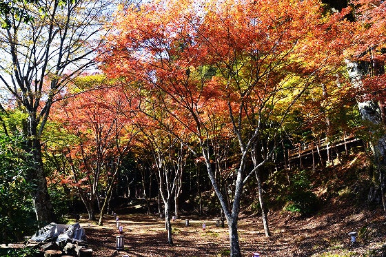 鉄　は　熱　い　う　ち　に　打　て　　　　(*ﾟ∀ﾟ)=3ﾑｯﾊｰ