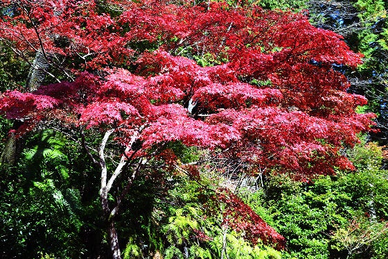 鉄　は　熱　い　う　ち　に　打　て　　　　(*ﾟ∀ﾟ)=3ﾑｯﾊｰ