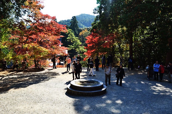 鉄　は　熱　い　う　ち　に　打　て　　　　(*ﾟ∀ﾟ)=3ﾑｯﾊｰ