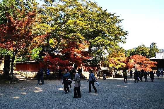 鉄　は　熱　い　う　ち　に　打　て　　　　(*ﾟ∀ﾟ)=3ﾑｯﾊｰ