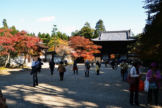 鉄　は　熱　い　う　ち　に　打　て　　　　(*ﾟ∀ﾟ)=3ﾑｯﾊｰ