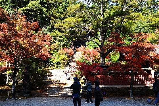 鉄　は　熱　い　う　ち　に　打　て　　　　(*ﾟ∀ﾟ)=3ﾑｯﾊｰ